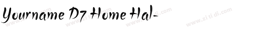 Yourname D7 Home Hal字体转换
